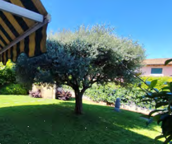 Foto annuncio 6