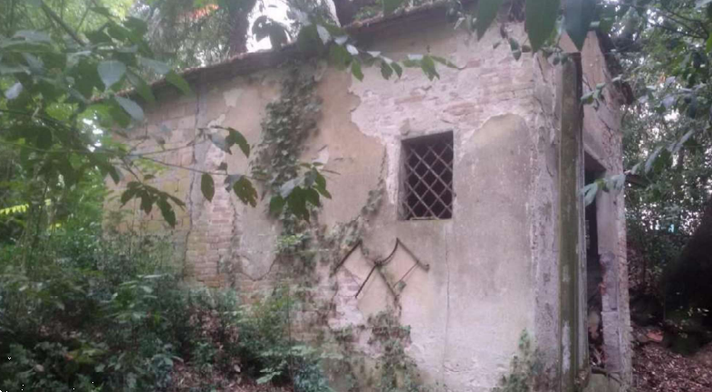 Foto annuncio 9