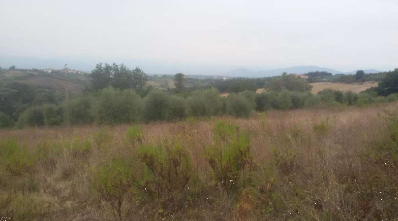 Foto annuncio 11