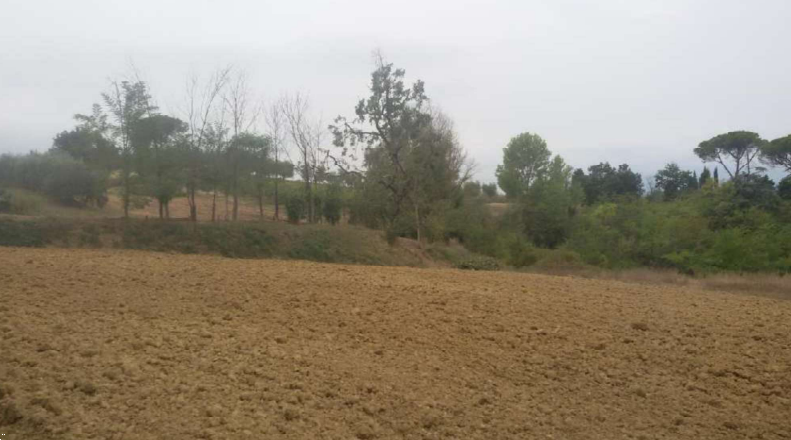 Foto annuncio 12