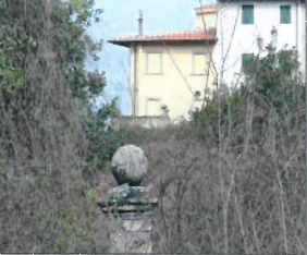 Foto annuncio 8