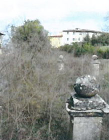 Foto annuncio 10