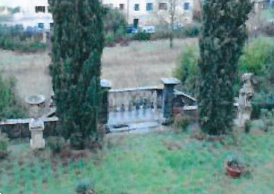 Foto annuncio 13