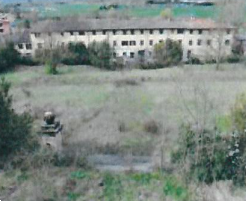 Foto annuncio 15