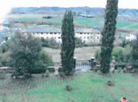 Foto annuncio 21