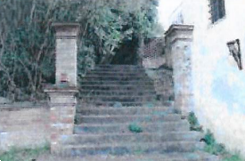 Foto annuncio 25