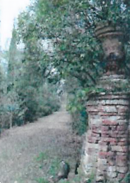 Foto annuncio 27