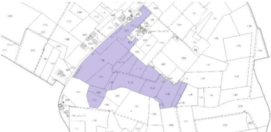 Foto annuncio 9
