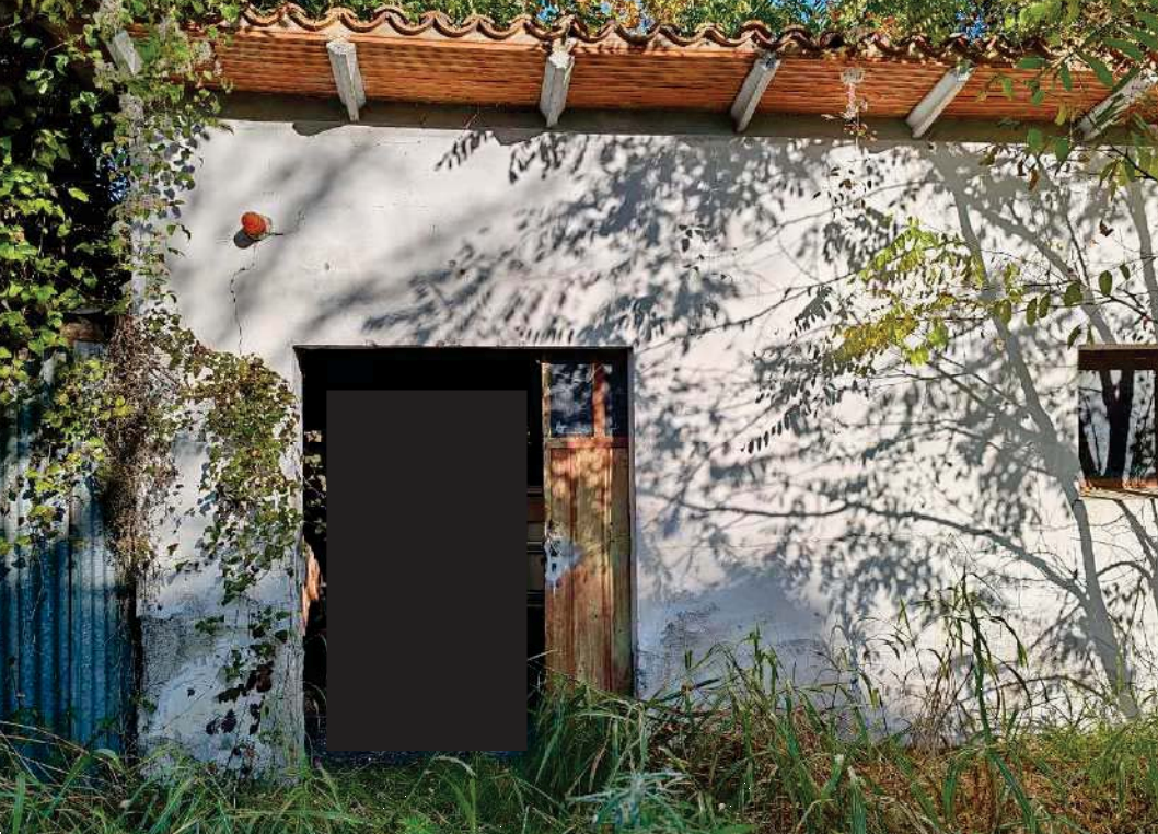 Foto annuncio 6