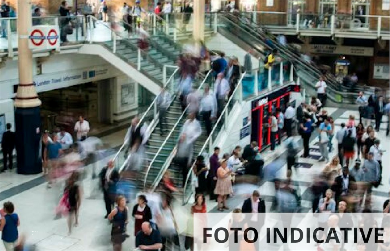 Foto annuncio 12