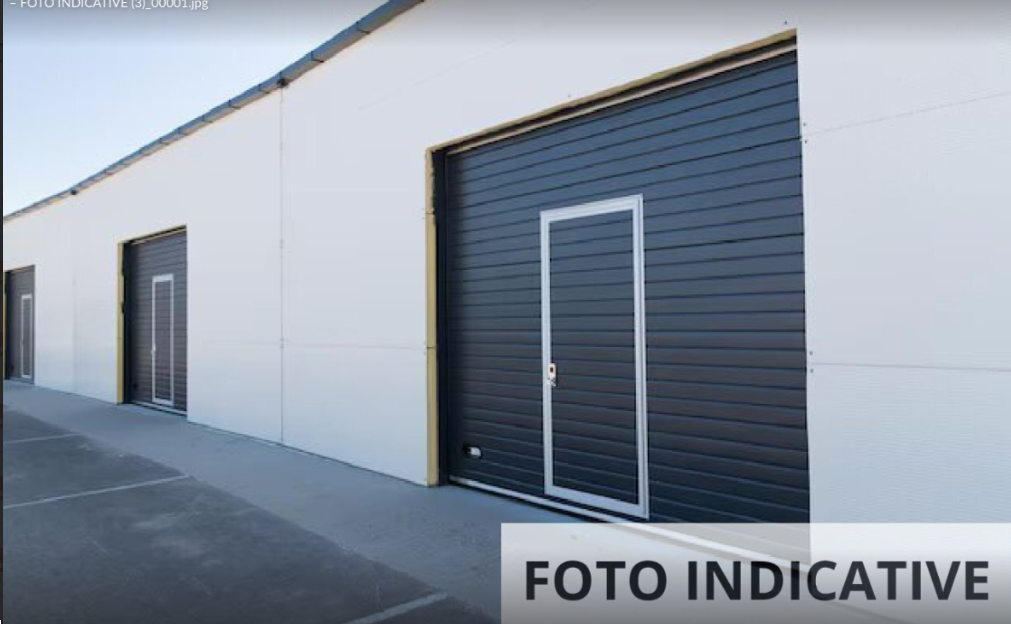 Foto annuncio 14