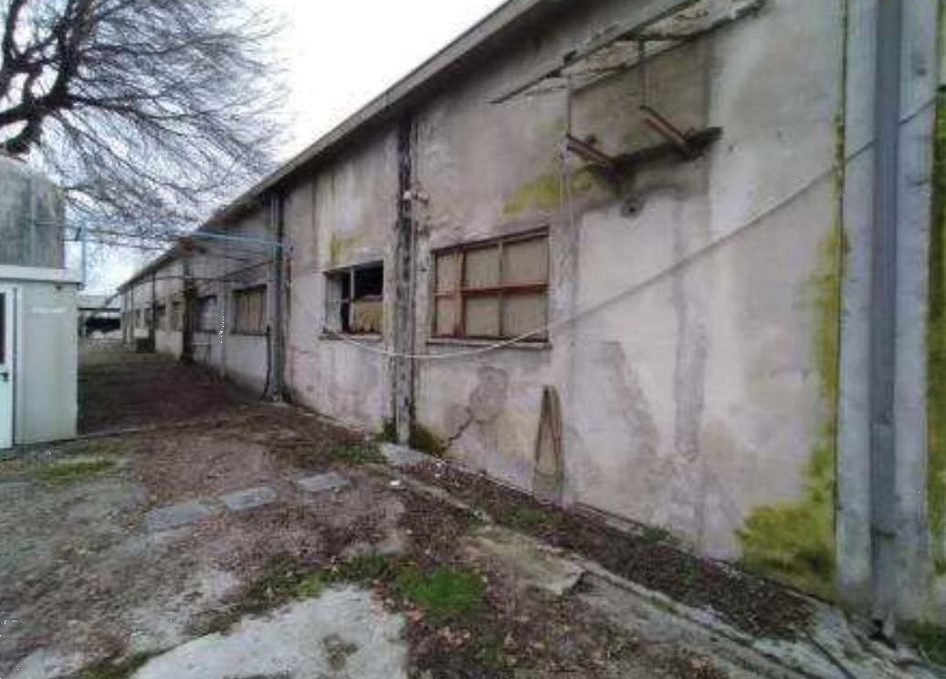Foto annuncio 17