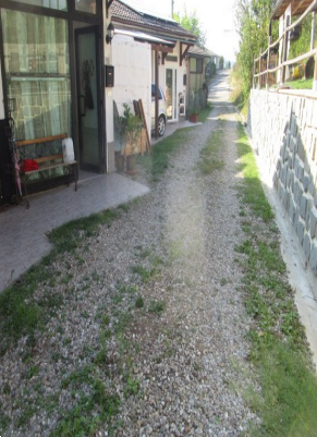 Foto annuncio 7