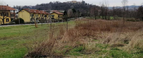 Foto annuncio 5