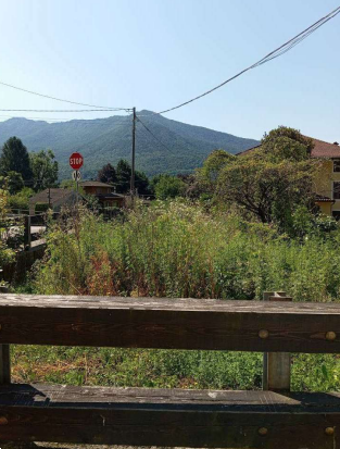 Foto annuncio 6