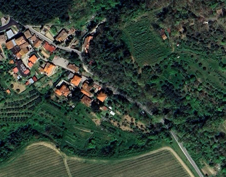 Foto annuncio 12