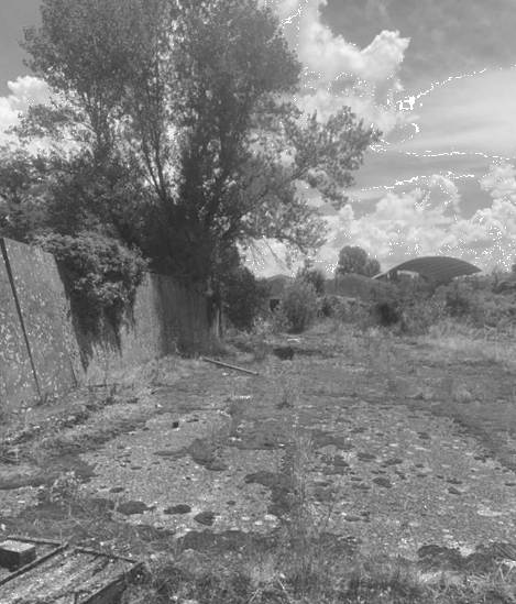 Foto annuncio 4