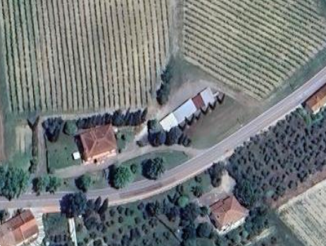 Foto annuncio 16