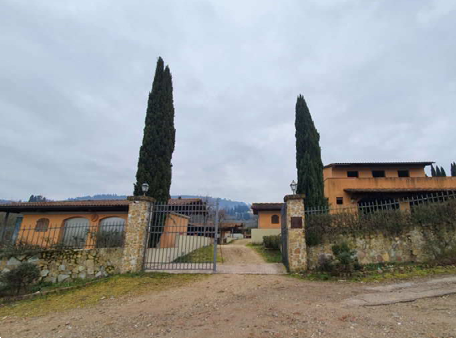 Foto annuncio 15