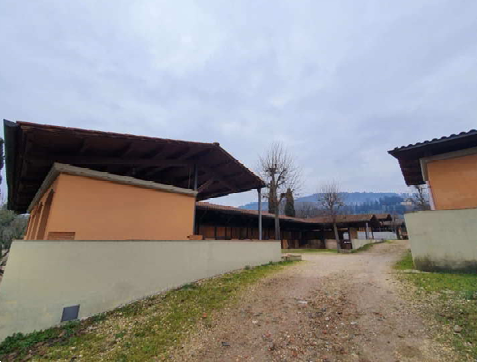 Foto annuncio 14