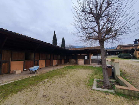 Foto annuncio 24