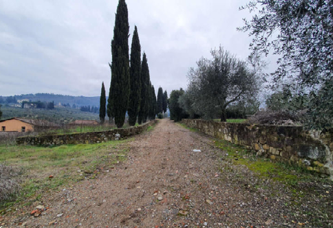 Foto annuncio 19