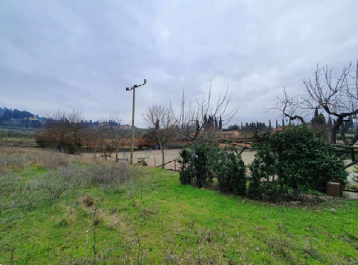 Foto annuncio 28