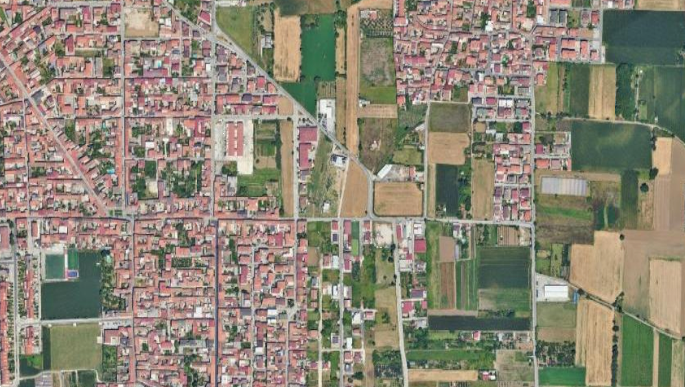 Foto annuncio 5