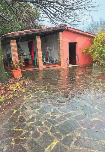 Foto annuncio 6