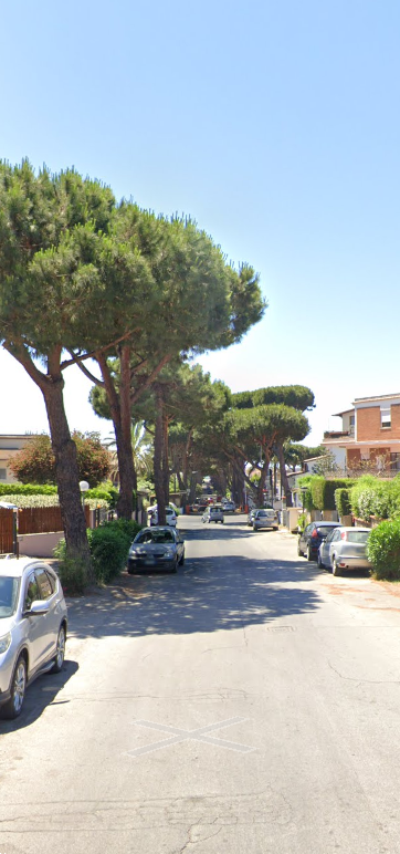 Foto annuncio 5