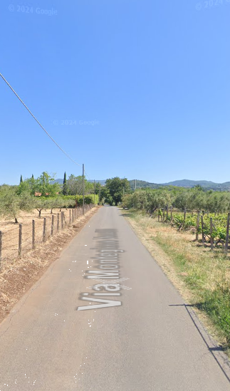 Foto annuncio 15