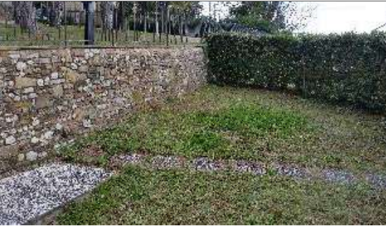 Foto annuncio 8