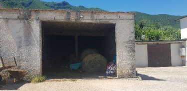 Foto annuncio 7