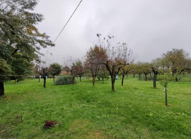 Foto annuncio 16