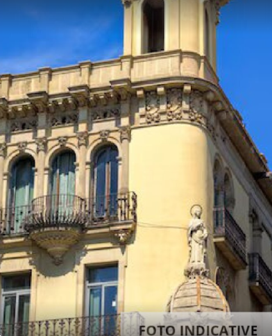 Foto annuncio 13
