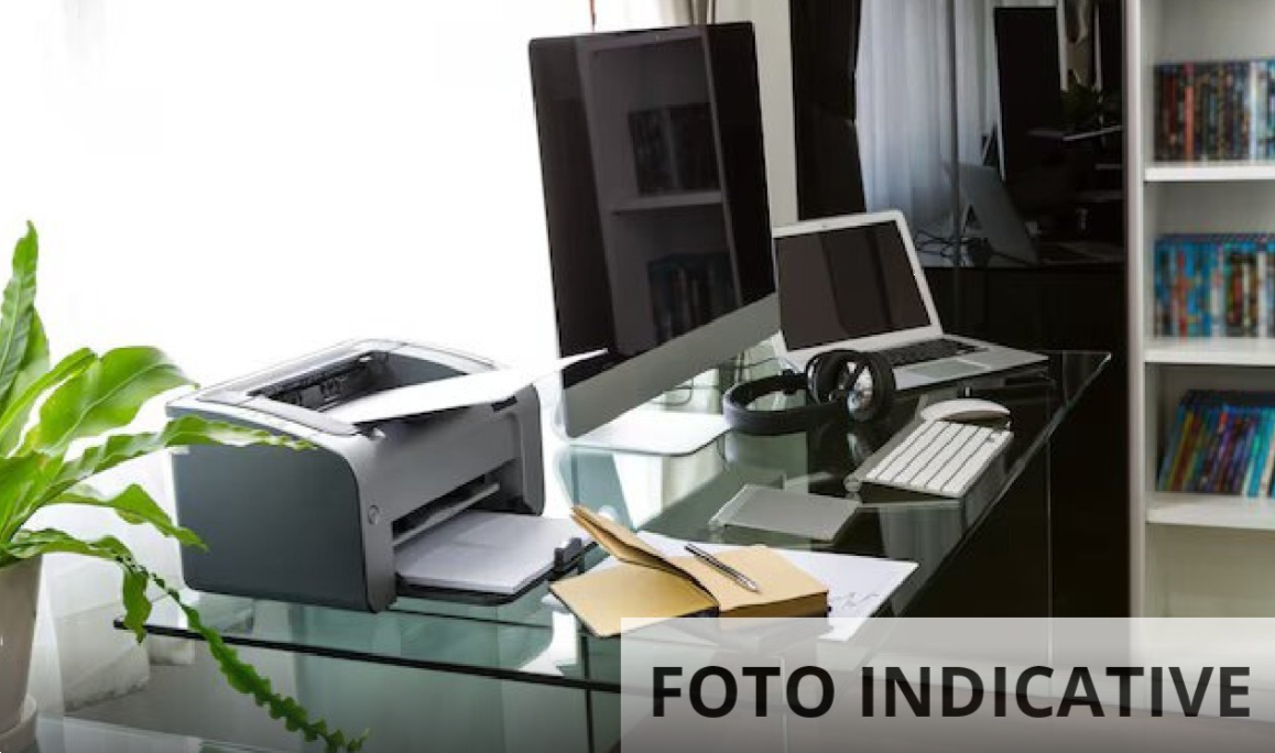 Foto annuncio 12