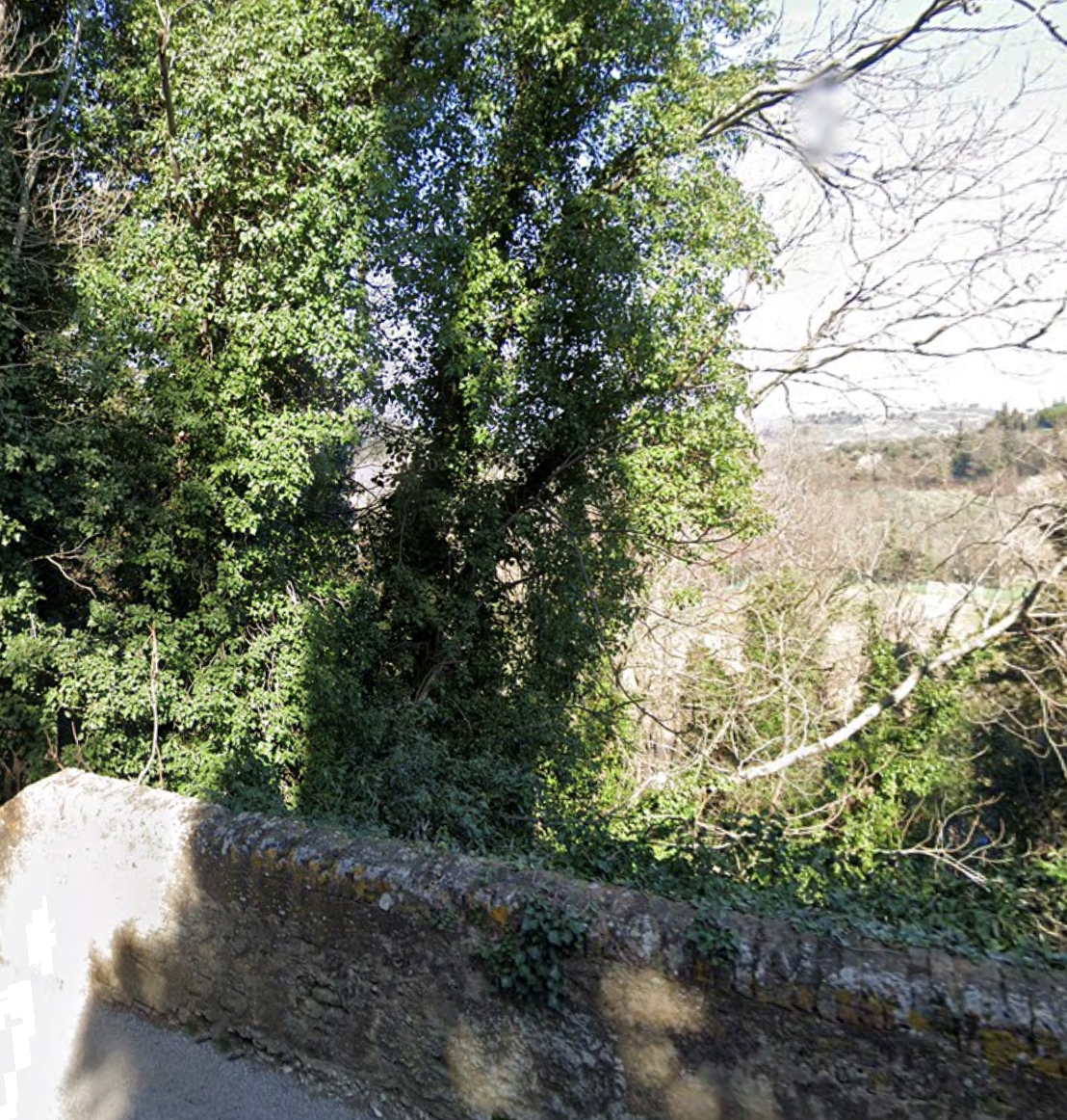 Foto annuncio 12
