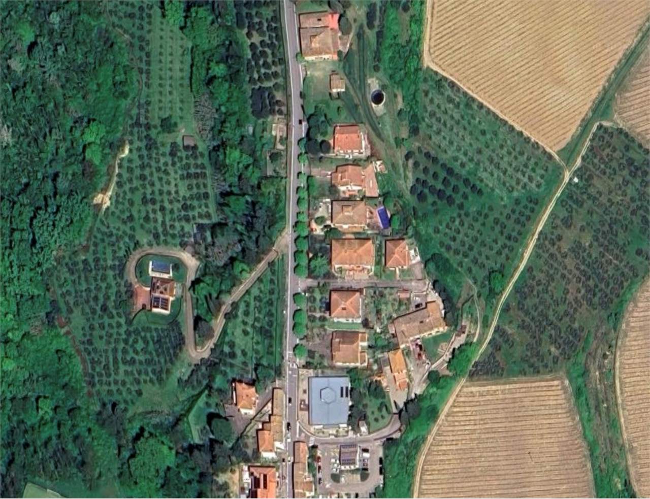 Foto annuncio 11