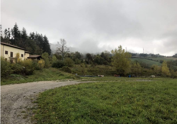 Foto annuncio 6