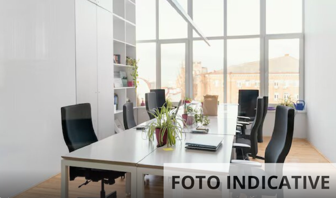 Foto annuncio 10