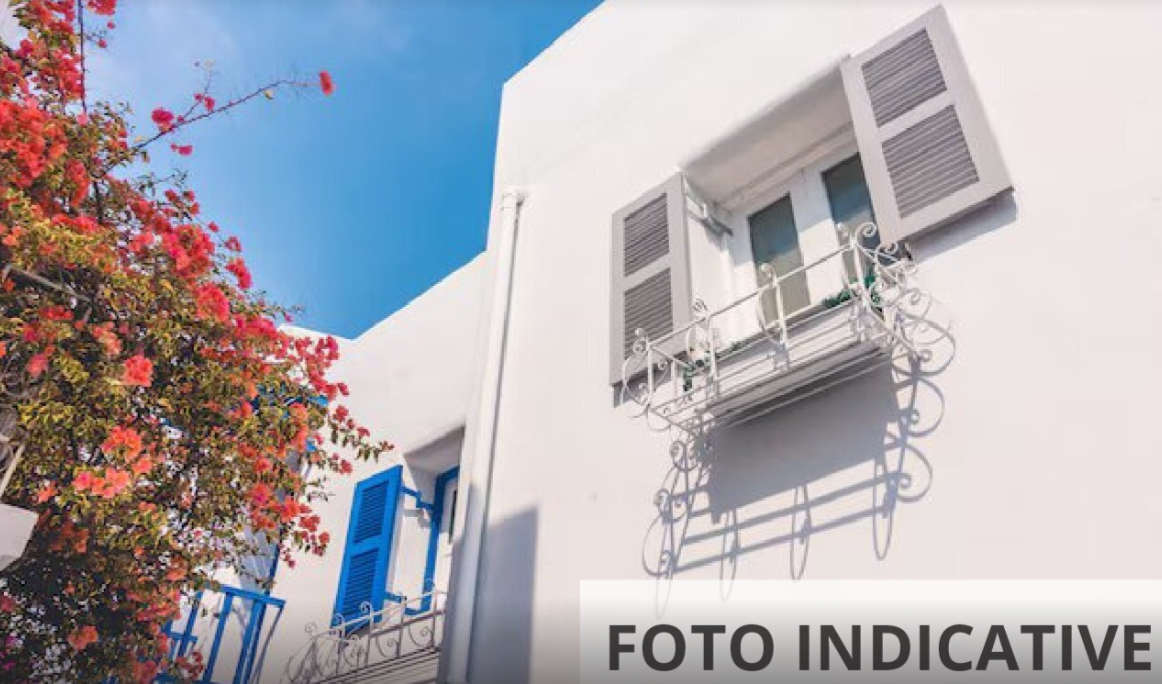Foto annuncio 22