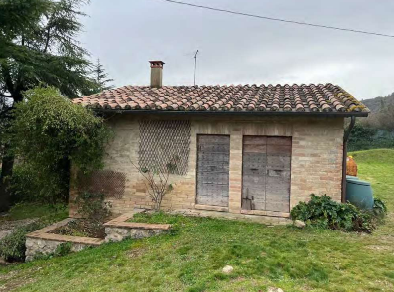 Foto annuncio 8