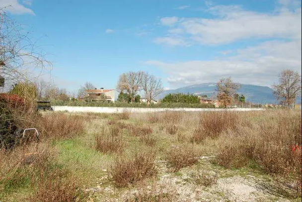 Foto annuncio 3