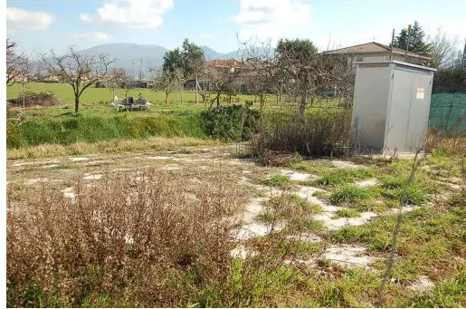 Foto annuncio 5