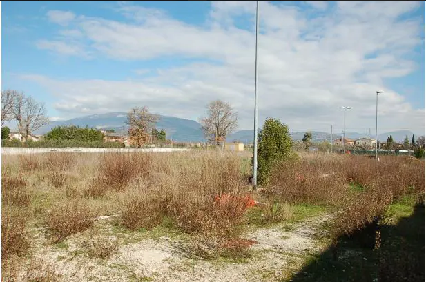 Foto annuncio 8