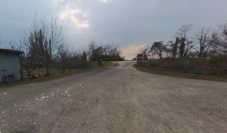 Foto annuncio 9