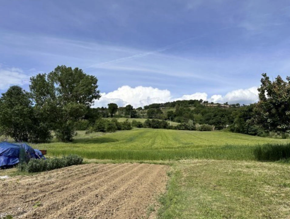Foto annuncio 1