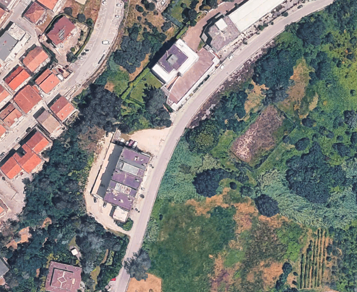 Foto annuncio 6