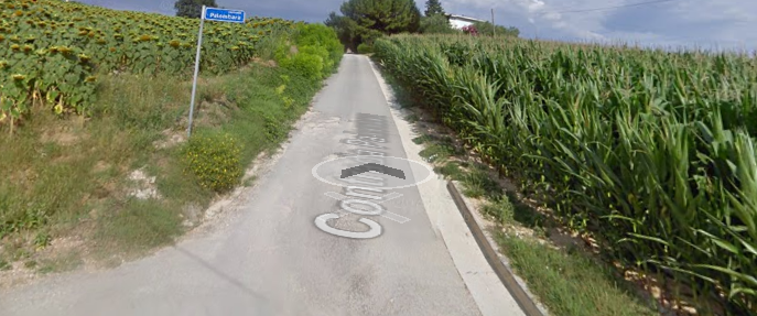 Foto annuncio 13