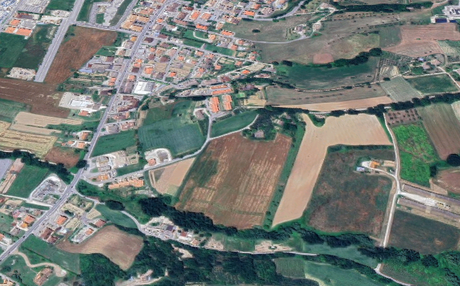 Foto annuncio 24